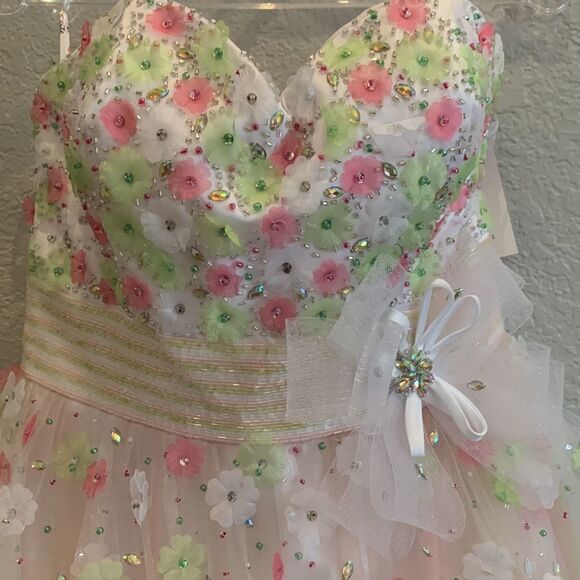 Pink and Green Ball Gown - Picture 3 of 10